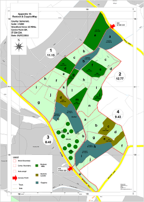 forestry management image